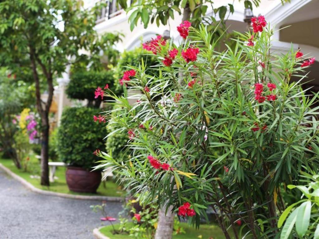 Alice Villa Hotel Takeo Exterior foto